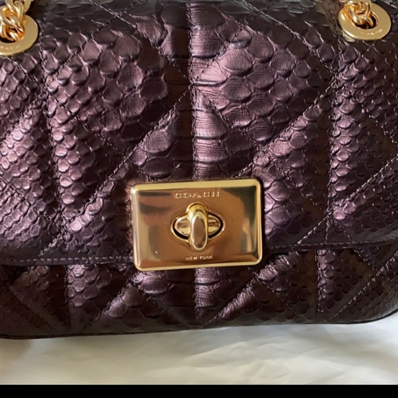 Coach Limited Edition Python bag - Picture 2 of 8